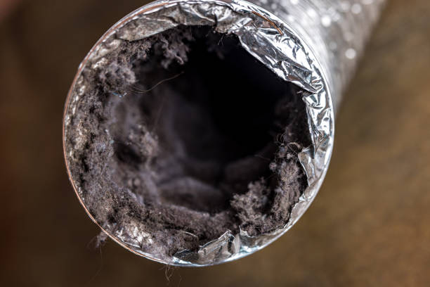 Best HVAC Duct Inspection Services  in Jackson, WY